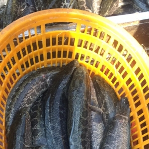 �V�|���~�r���µ����@��δ��߀��С���µ�����9��3�����~���^�r