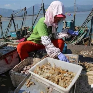 ƤƤ�r�ϰ������S�����_�O�w����һ��Ұ�����r�T�ˁ��u��