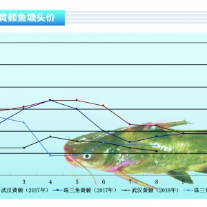 �S��~�r��������m���ԡ�����ˮ�aǰ�ء�2018��9�¿��Ј�څ��