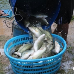 ����¶�١��¼����|�~��������һ�����������ʳ�7�ɣ�|9��5�ռ����|���^�r(ji��)