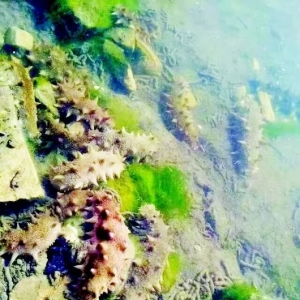 �@����أ��|����(sh��)�|�ﺣ�������������pʧ����ǧ�|