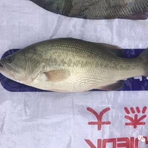 ��(w��n)���н��������|�f�~�M(j��n)������?x��)r�Σ����~��ݴ��l(f��)������9��5�ռ����|���^�r(ji��)