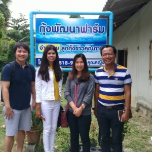 �rι�ö࣬�L����������ĕ��B�r�᣿ | ̩�����ҽ����B�rϵ�У�һ��