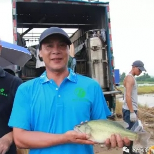 �������|���������~��ģʽ��7���������~��20000����^�_1.7�����30�f