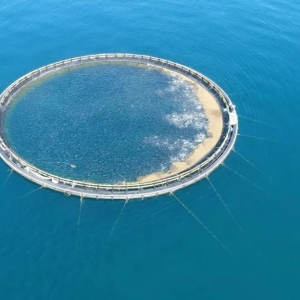 ��̩&���|���s�������������Ӟ�•��̩2018�׌ý��K�~�_�������ӣ�