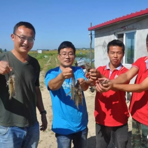 ���������䡱�����a��1000��ȱȽ��ǣ��@�ݖ|�����B�r����ֵ��һ��