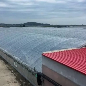 107���ٍ160�f(w��n)�����B(y��ng)�������B(y��ng)ֳ�����׌�(du��)�r���ľ�̝����ٍ������������u