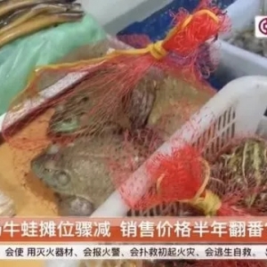 ���q���V�|������ȫ���⚢���B(y��ng)ţ�ܣ������(n��i)ţ�܃r(ji��)���j����100%