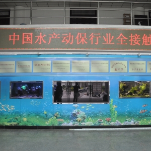 �o���L�꣡�Ї�ˮ�a�ӱ����һֱ��·�ϣ��@���҂����MУ�@