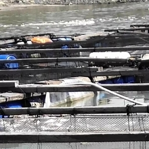 ������1000���f����ɽ����Ű���ݖ|500Ԫ/�l�Ľ��K�~������������߀���|�~���S�� ...