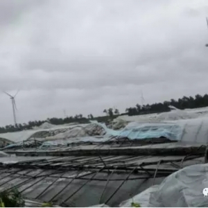 �h�������£�������|С���B�r��r��Σ�����һ�꣡