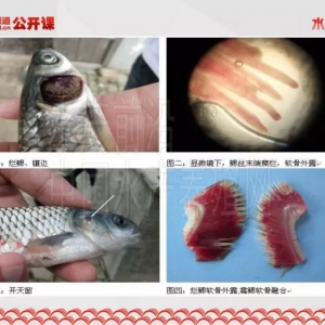 �����Ԡ��w�Ͳ����Ԡ��w��΅^(q��)�֣��@���д𰸣�