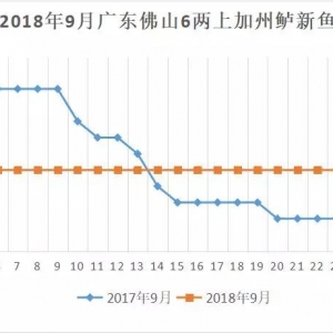 ��ؼ����|�r����ˮ�����p�����ܷ񎧁���������