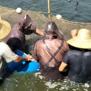 �������MҲδ�������a�~�ϝq����������u��3Ԫ/�