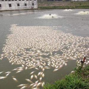 9�����������p���ƽ�ߜ�ȱ���������}