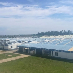 �����Ї���һ�l�����r���V�|�����ķN�r�����S�������������a�I������Ј�