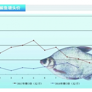 ���~���r�����ݷ������ڳ��m������ˮ�aǰ�ء�2018��10�¿��Ј�څ��