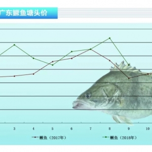 �Z�~�����~���и��؃r��ֱ���µ�������ˮ�aǰ�ء�2018��10�¿��Ј�څ��