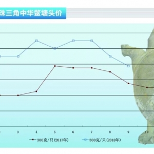 ���~�����¼��~�r��̽�׻���������ˮ�a(ch��n)ǰ�ء�2018��10�¿��Ј�څ��