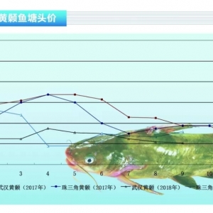 �S��~���V�|�؅^(q��)�K��ֹ������������ˮ�a(ch��n)ǰ�ء�2018��10�¿��Ј�څ��