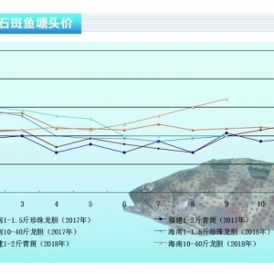 ʯ���~���r���M���ϝqͨ��������ˮ�a(ch��n)ǰ�ء�2018��10�¿��Ј�څ��