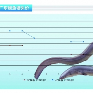 ���~���ձ��Ј���ꑺ��_�������r���Խ�������ˮ�a(ch��n)ǰ�ء�2018��10�¿��Ј�څ��