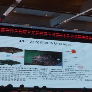 �����٣�����ʯ���~���Ԡ��@�������H��