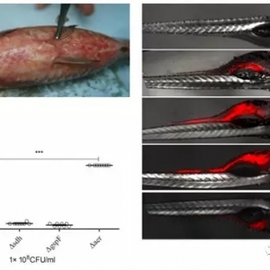 �a�~���~�Z�~���~�����Ѫ�Y�ġ�Ԫ�������ҵ�������������ˮ��ΰ���