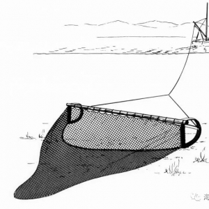 ҕ�l | һ��犿����������������ƴ�������I