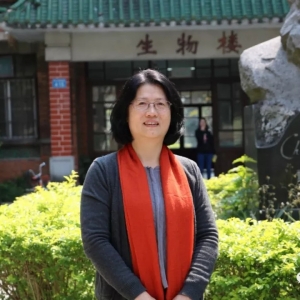 �Z�~���缴�����У�������ʲ��������oЧ�ʸ��_90%���ϣ�