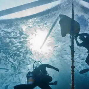 ASC�l���˜ʣ��W�޺��|����ʹ�����׹��~�Bֳ������ь��`�˗U��