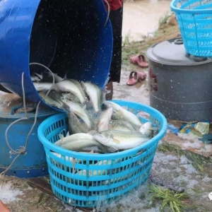 2018��10��1�ռ����|���^�r���麆��--�~�r����µ�1Ԫ/�