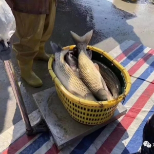 ���c�������~���飡��ͨ�����m���ӣ�2���ϲ��~�����哌