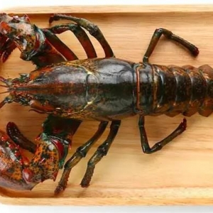 ���ô����r�������Q�ב���������ߣ��������ѽ��������L��