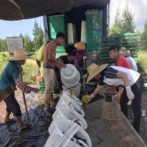 ��،��r���������㣬��������