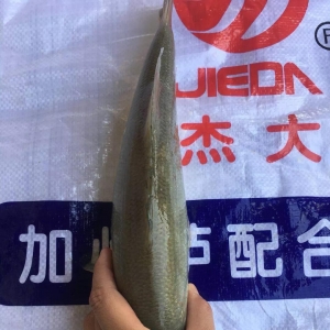 ��ؼ����|���^�r�_ʼ���У��������1.5Ԫ/��