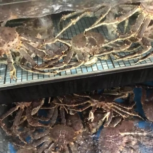 ����з�r���H�񡱣����c����90Ԫ/��