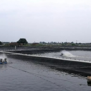 21���B�r��˾�C����ٍ�X�Ĺ��£��]�в��ɹ���