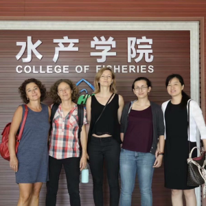 ���_�؁����ҁ����A���r�I��W�_չ��-�˿Ƽ����������Ŀ