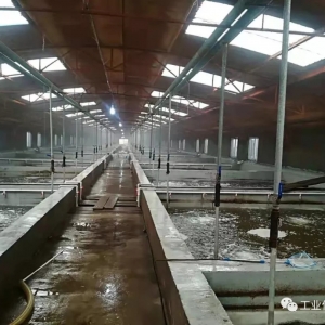 ׌�r��e���A������r�r�F���ϣ��������һ�Ʒ�������S���B�r�I