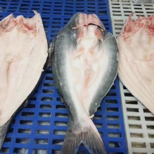 ߅�Q(m��o)؛����������a(ch��n)��ɳ�~�C�����������Q(m��o)�ב�(zh��n)�����_���~�Ј�