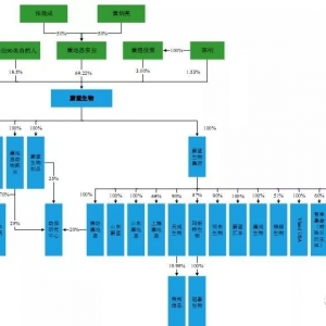 ɽ�|���ͳ�����ţ�ˣ�����A��IPO�J�P(gu��n)�ɹ������һ�30�|