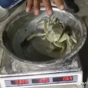 ����14��з��15���u��33�f����Ч��20000Ԫ