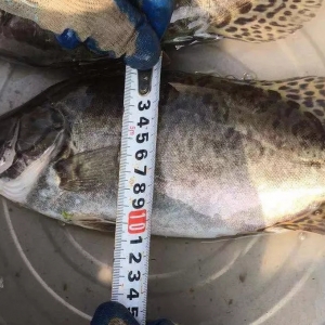 �S�������Z�~����Bֳ���g�Ͱ�������