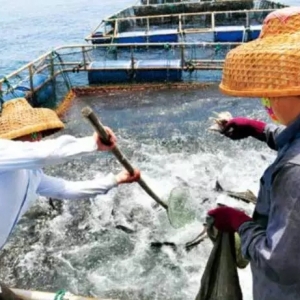 ˮ�a�Bֳ�I�����ɡ�����Bֳ����δ���lչ��������ʲô��