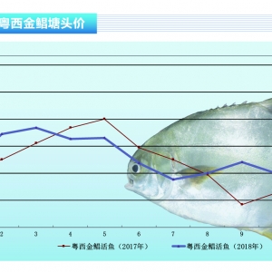 ���K���������������~�rС���»�������ˮ�aǰ�ء�2018��11�¿��Ј�څ��