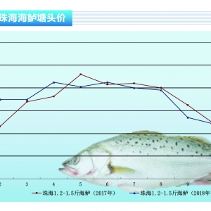 ���|�����~�������У��B(y��ng)�����~���У��~�r(ji��)���m(x��)�»�������ˮ�a(ch��n)ǰ�ء�2018��11�¿��Ј�(ch��ng)څ ...