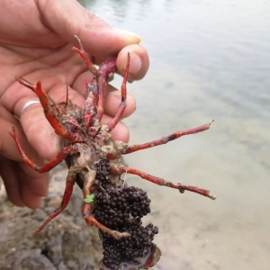 �ղأ��ﶬ�����B�rһ��Ҫע���@�ߴ�Ҫ�c�������`�^��