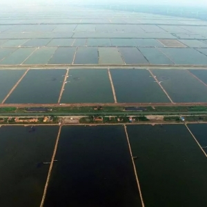 �B�r�������B���B�����a250���՘�ٍ���X