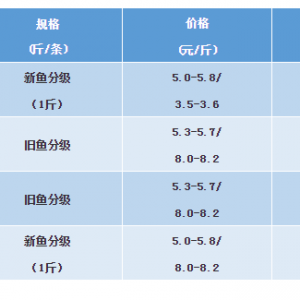 2018��11��3�����~���^�r